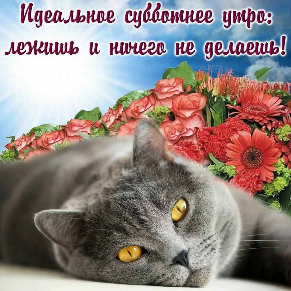 Доброго выходного дня суббота