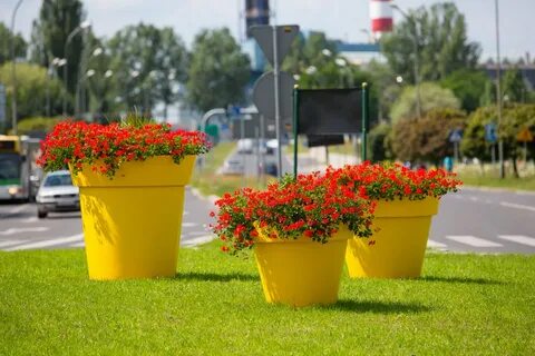 Цветы в горшках на улице