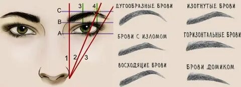 Длина бровки