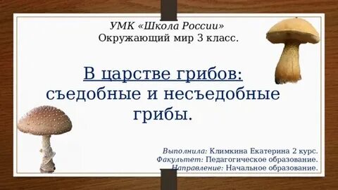 Царство грибы презентация 3 класс окружающий