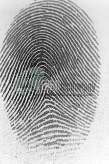 C fingerprint