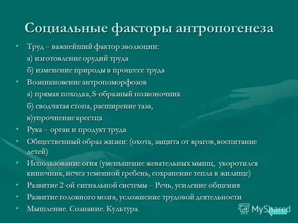 Какую роль в развитии антропогенеза сыграли язык