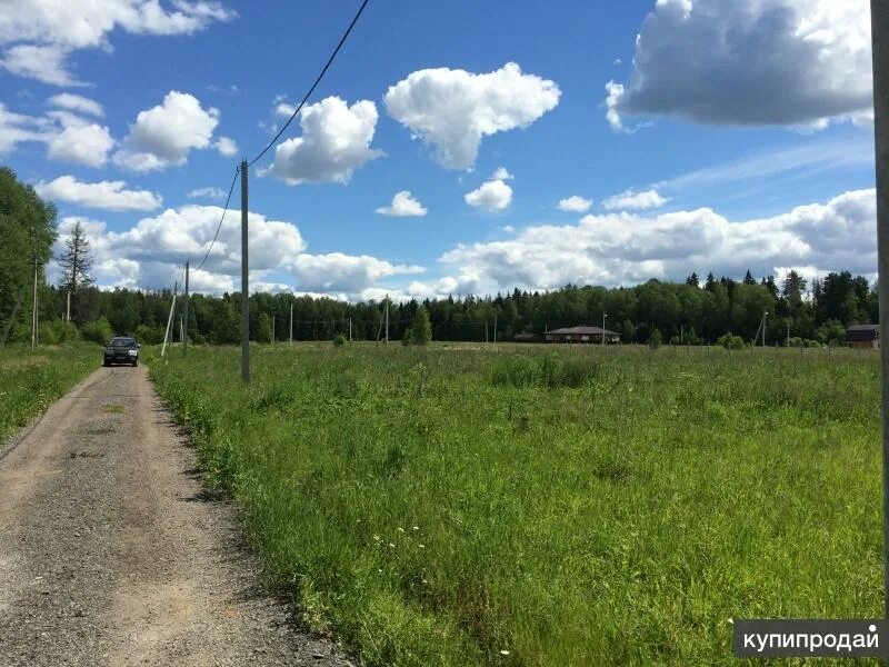 Купить участок большое поле. Деревня Повадино. Поселок Жуково Солнечногорский район. Деревня Жуково Солнечногорский район. Повадино Солнечногорский район.