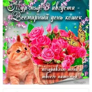 Августа день кошек