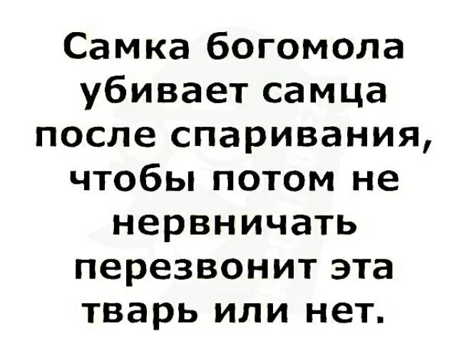 Самка богомола съедает богомола после спаривания. Самка богомола приколы.