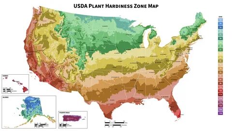 Plants map