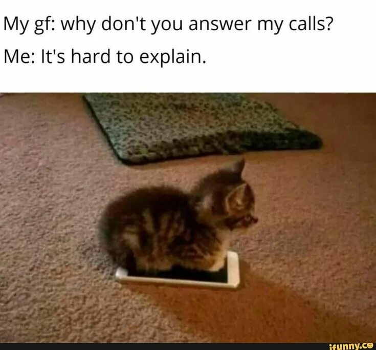 Why didn t you answer