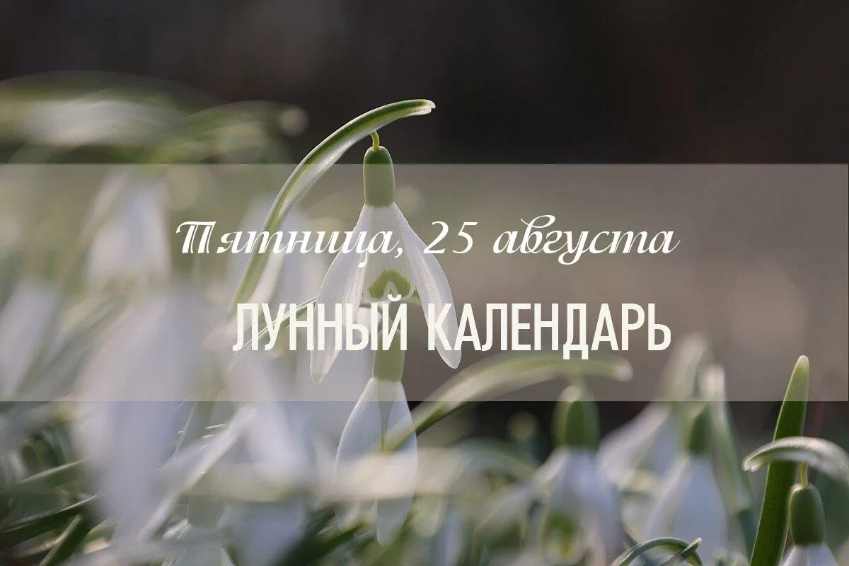 29 лунный день в апреле