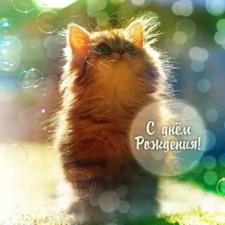С днем рождения с позитивными пожеланиями