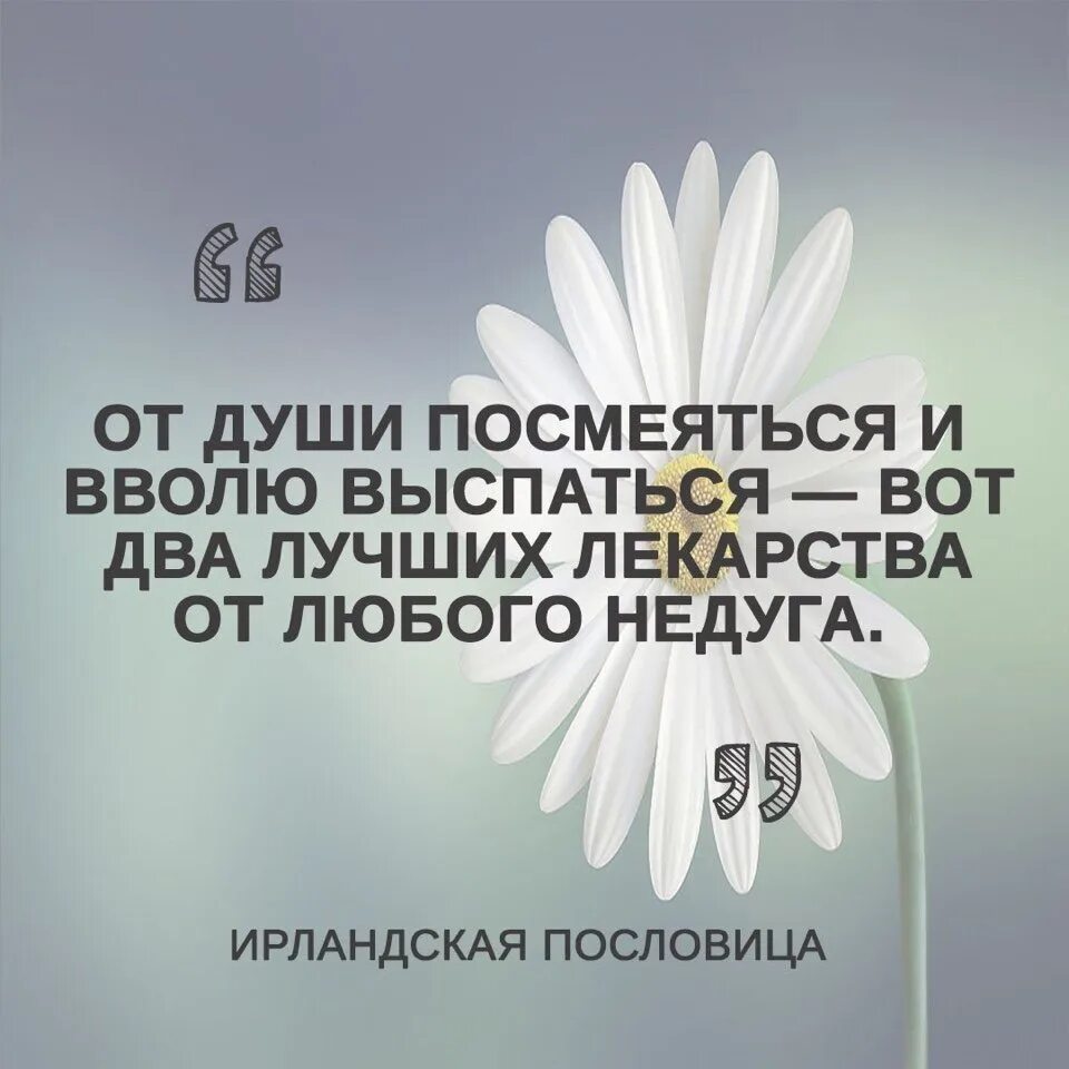 Прекрасное расположение духа. Посмеяться от души. Лучшее лекарство от всех недугов это любовь внимание и тепло. От души посмеяться и вволю выспаться вот.