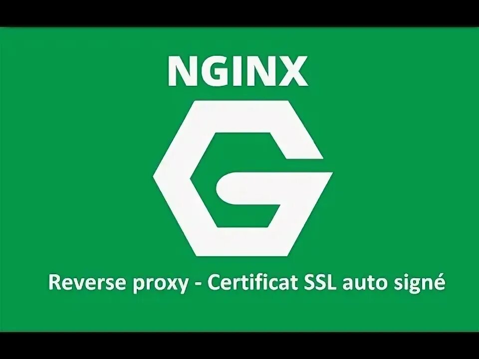 Nginx connection. Nginx. Nginx иконка. Nginx PNG. Nginx PNG прозрачный.