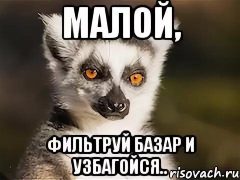 Фильтруй базаров