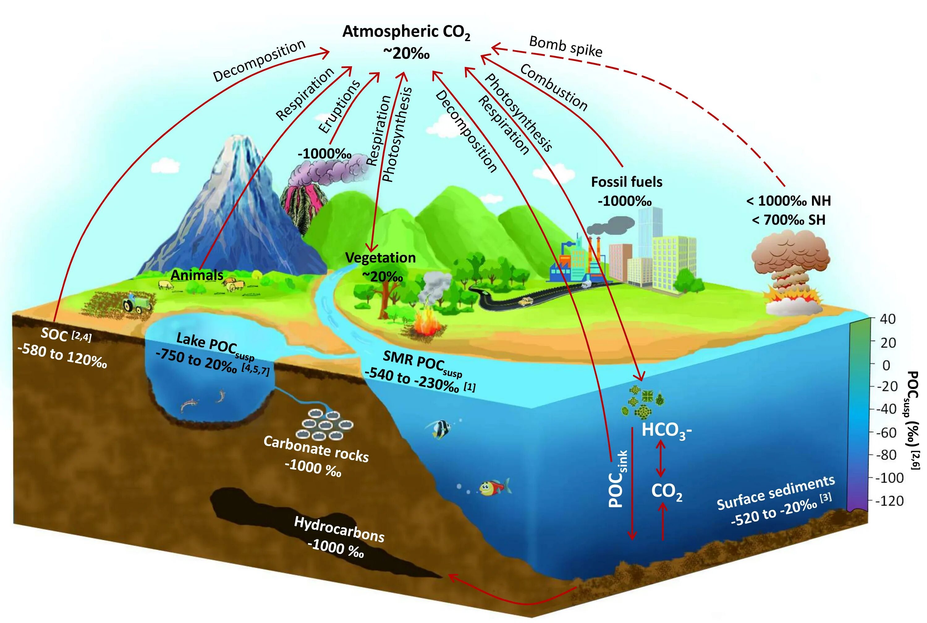 диоксид углерода. жидкий углекислый газ. круговорот углерода. выделение углекислого газа. круговорот азота кислорода углерода в природе.