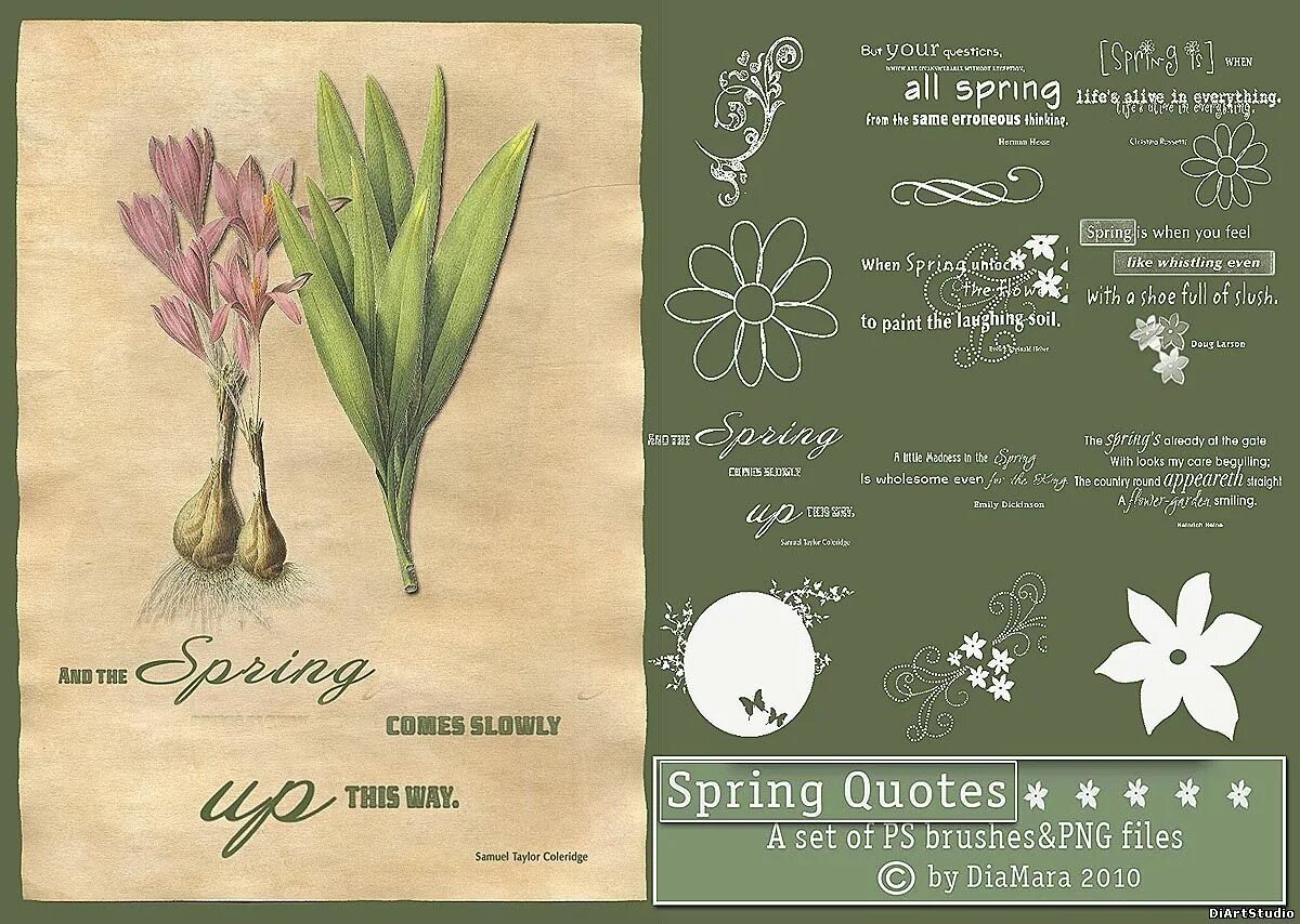 When spring. Spring quotes. quotes about spring. spring time quotes. spring phrases.