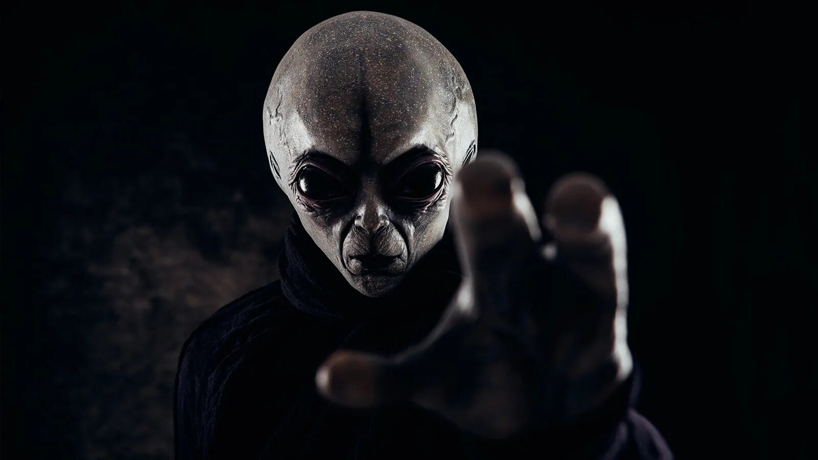 It is a alien