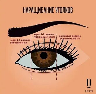 Схема лисы наращивание