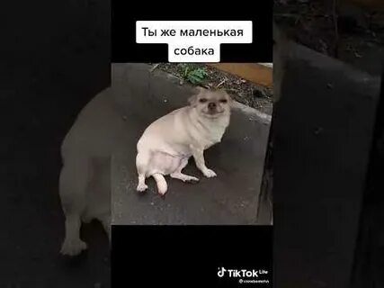Ты же была маленькая