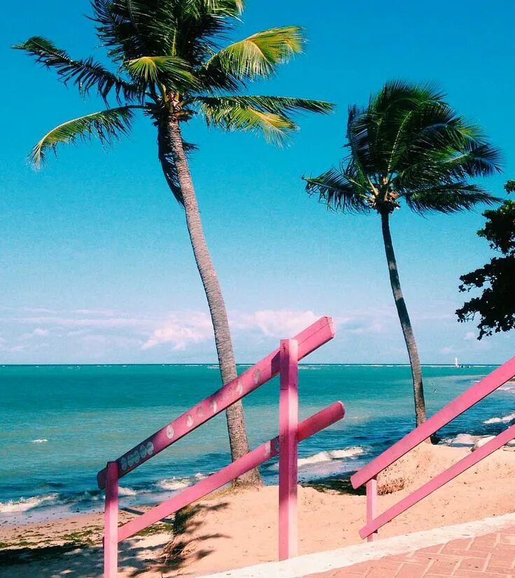 Summer vibes lxfty