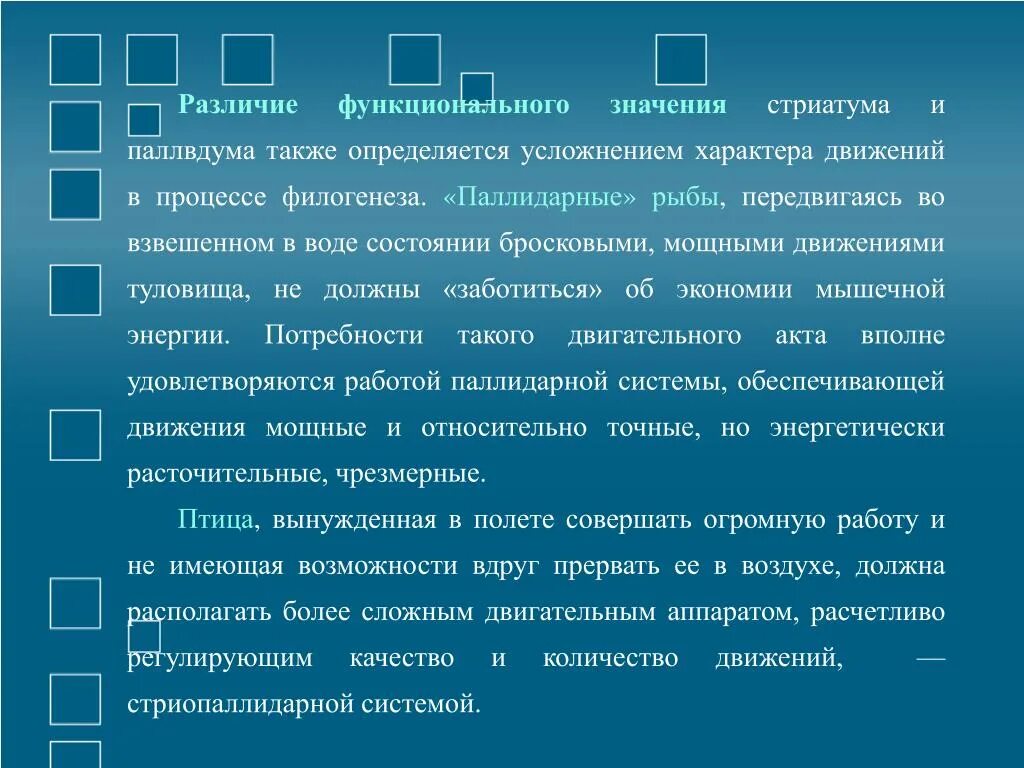 Что такое функциональный смысл