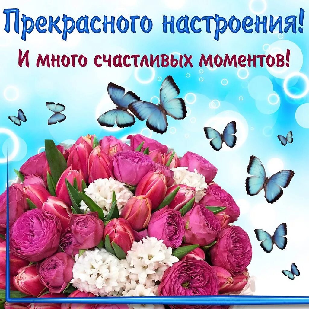 Картинки с днем самых. Поздравления с хорошим настроением. Хорошего дня и отличного настроения. Открытки прекрасного дня и отличного настроения. Открытка "хорошего настроения".