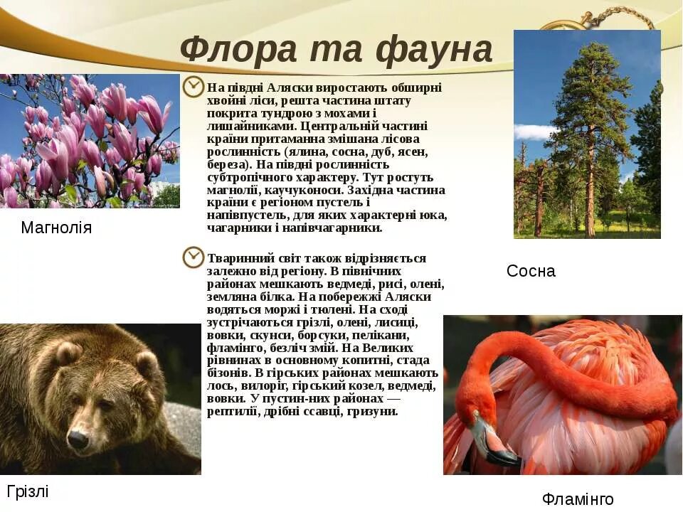 Значение фауны. Флоры и фауны сообщение.