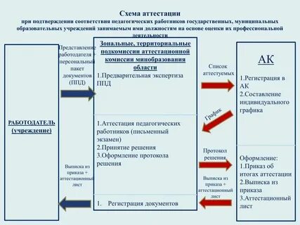 Педагогические работники виды педагогических работников