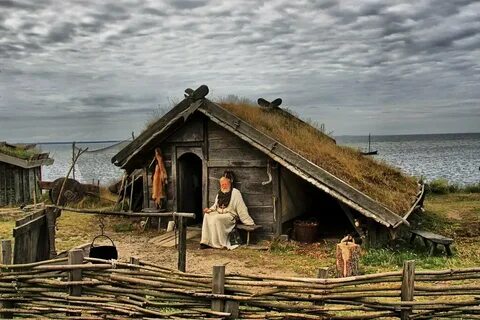 Историческое жилище