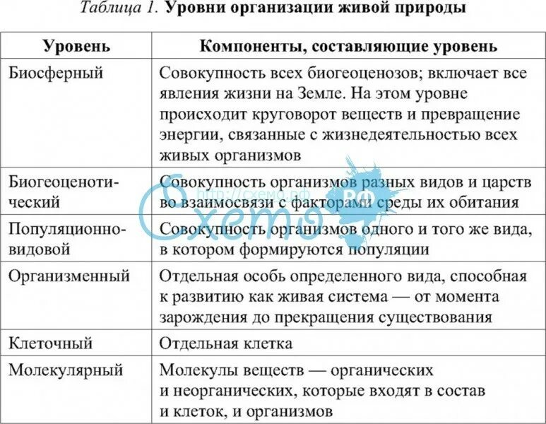 Верная последовательность биологических систем. Уровни организации живого ЕГЭ биология таблица. Уровни организации живого схема. Уровни организации живой материи таблица процессы. Таблица уровни организации живой материи биологическая система.