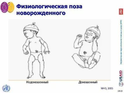 Физиологически правильный
