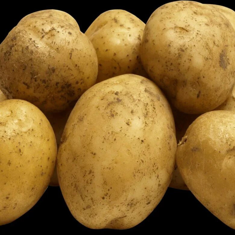 Картофель купить в новосибирске. Картофель семенной Вымпел. Крупная картошка. Пиктограмма картофель. Картофель домашний.