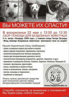 Помощь животным можга