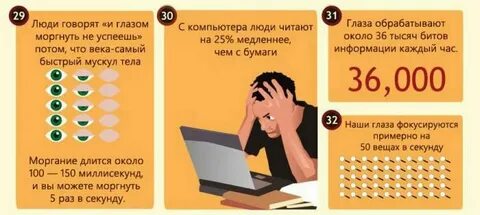 Факты о зрении