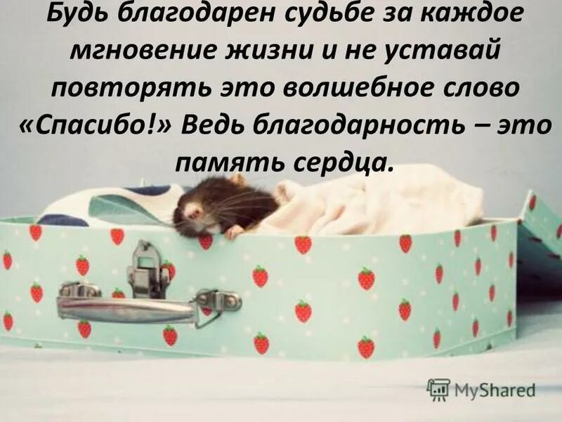 Если вы будете благодарны. Благодарю судьбу. Будь благодарен. Я благодарна судьбе. Я благодарна жизни.