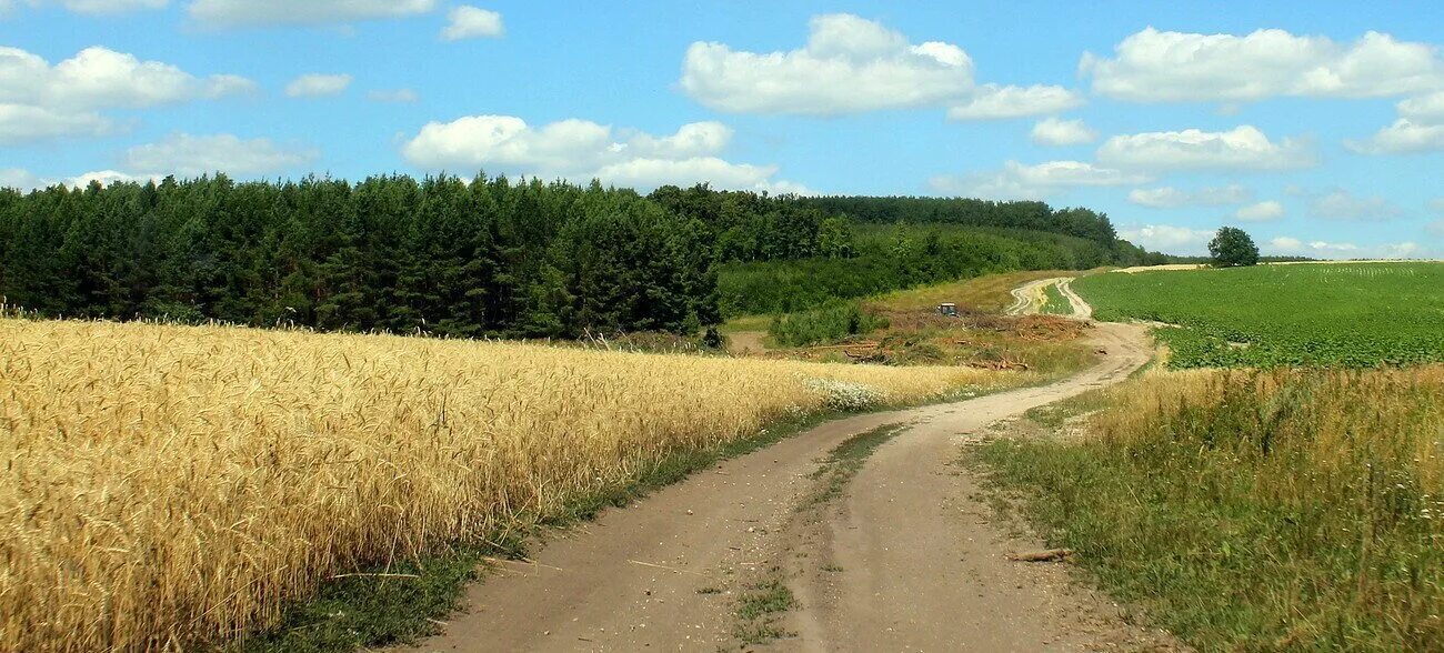 Сельская Проселочная дорога. Деревня природа Проселочная дорога. Дорога в деревне. Деревенская дорога в деревне.