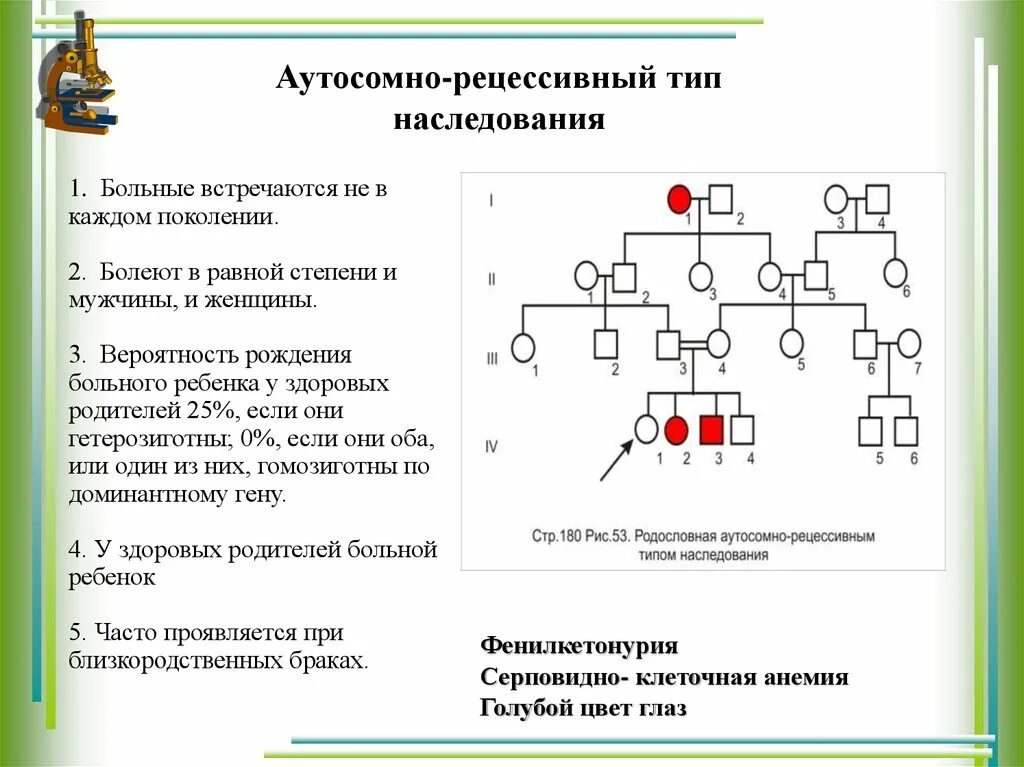 Задачи с доминантными и рецессивными признаками решение. Родословная генетика аутосомно рецессивный. Аутосомно-рецессивный Тип родословная. Фенилкетонурия Тип наследования родословная. Родословная рецессивный Тип наследования.