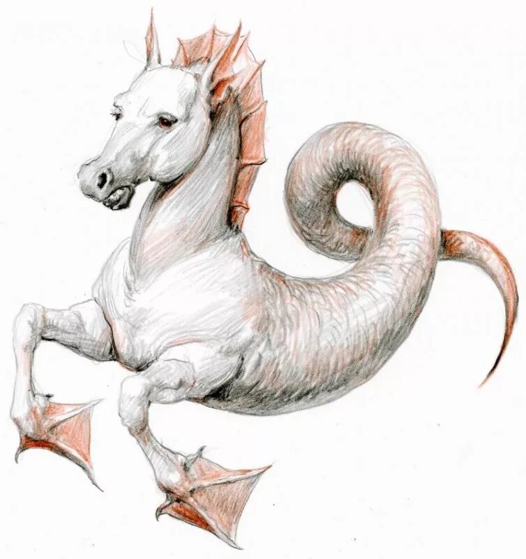 морда лошади рисунок. лошадь рисунок. 2024 год лошадь рыбы. 2024 год лошадь рыбы. лошадь гороскоп.