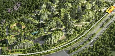 City forest