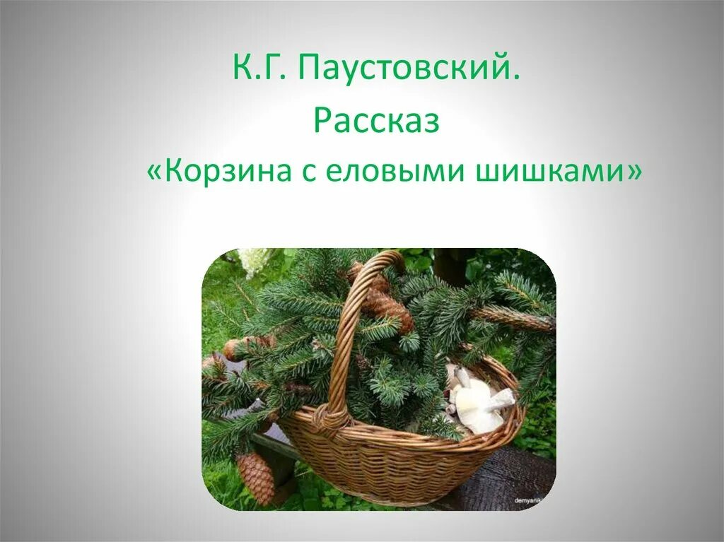 Корзина с шишками паустовский краткое содержание. Корзина с еловыми шишками Паустовский. К.Г. Паустовский «корзинка с еловыми шишками». Еловые шишки в корзине Паустовский. 16. К. Г. Паустовский «корзина с еловыми шишками».