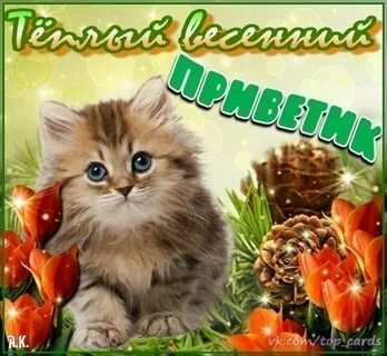 Мартовский приветик