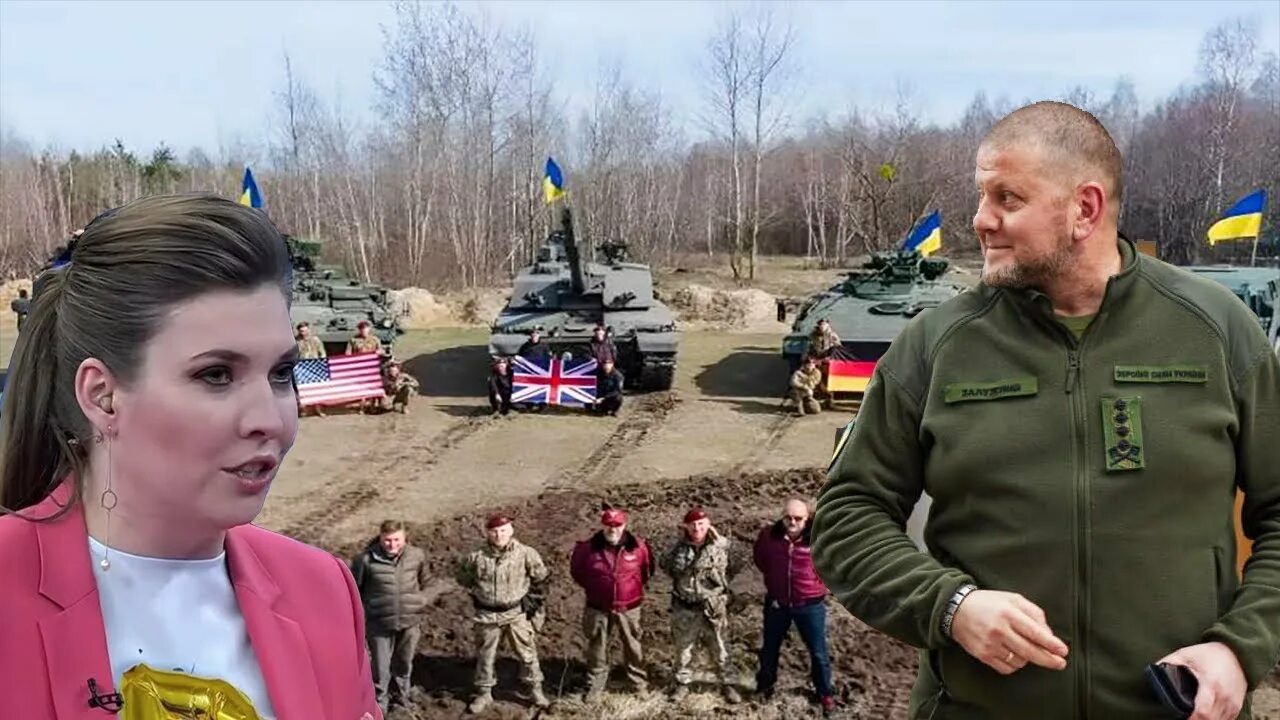 Выступление залужного последнее видео. Выступление залужного последнее видео