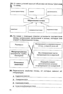 Установи соответствие с помощью стрелок