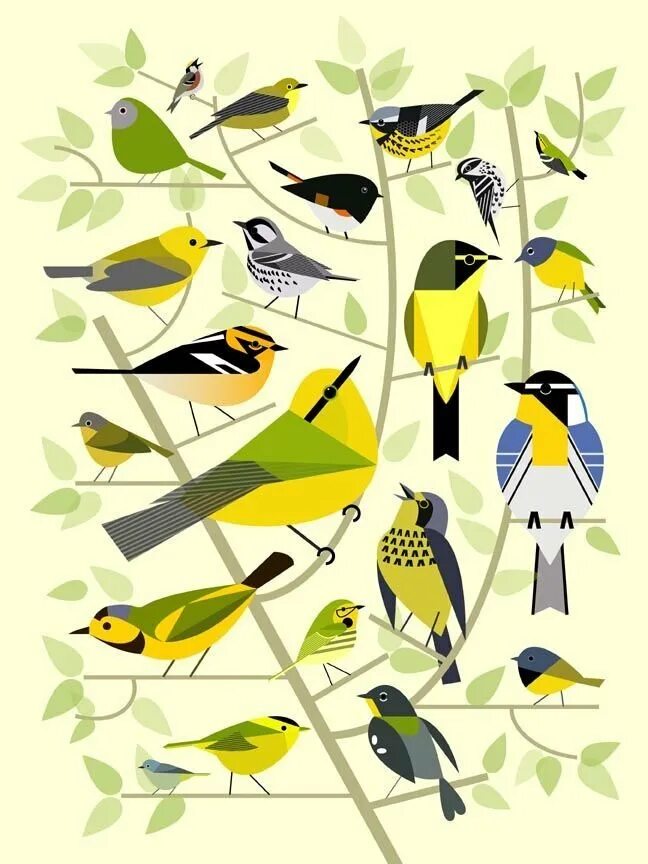 Чарли Харпер художник. Птицы Чарли Харпера. Постеры с изображением птиц.