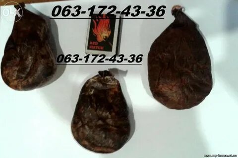 Бобровая струя охотники