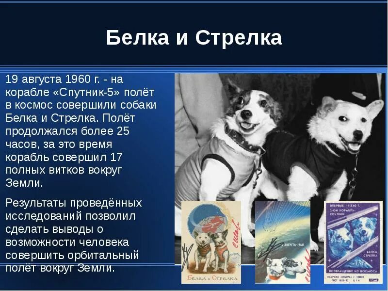 День космонавтики презентация 5 класс. Белка и стрелка в космосе рассказ для детей. Полет в космос елки истрелки. Информация о белки и стрелки. Белка и стрелка презентация.