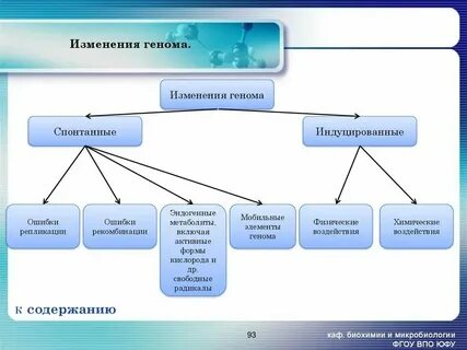 Геном яблони