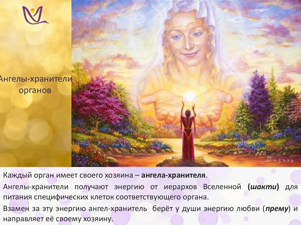Вишу ди