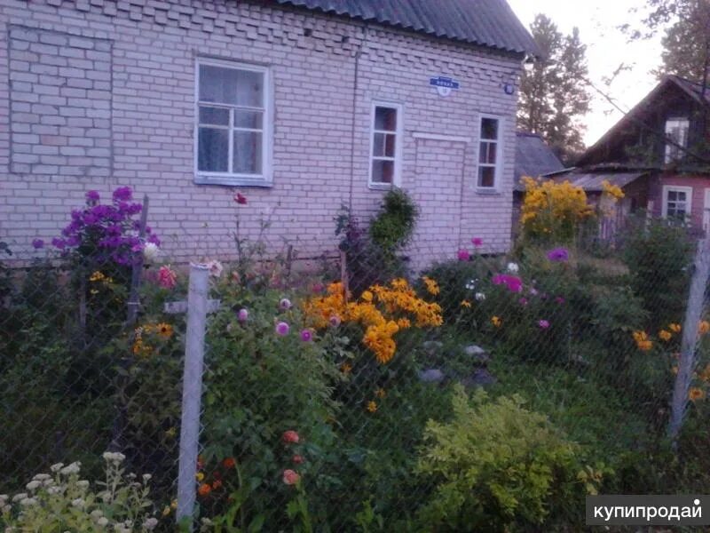 Подслушано бежаницы локня частные объявления. Подслушано бежаницы. малые старики (бежаницкий район). счо бежаницы. бежаницы кунавино деревня.