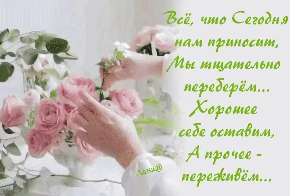 Когда будет жизнь