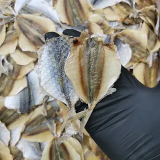 Чем отличается ставридка от полосатика