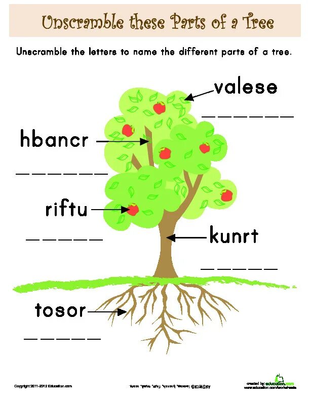Составить дерево на английском. Parts of a tree for kids. лист на английском дерева. trees and wood worksheet. tree worksheets for kids.